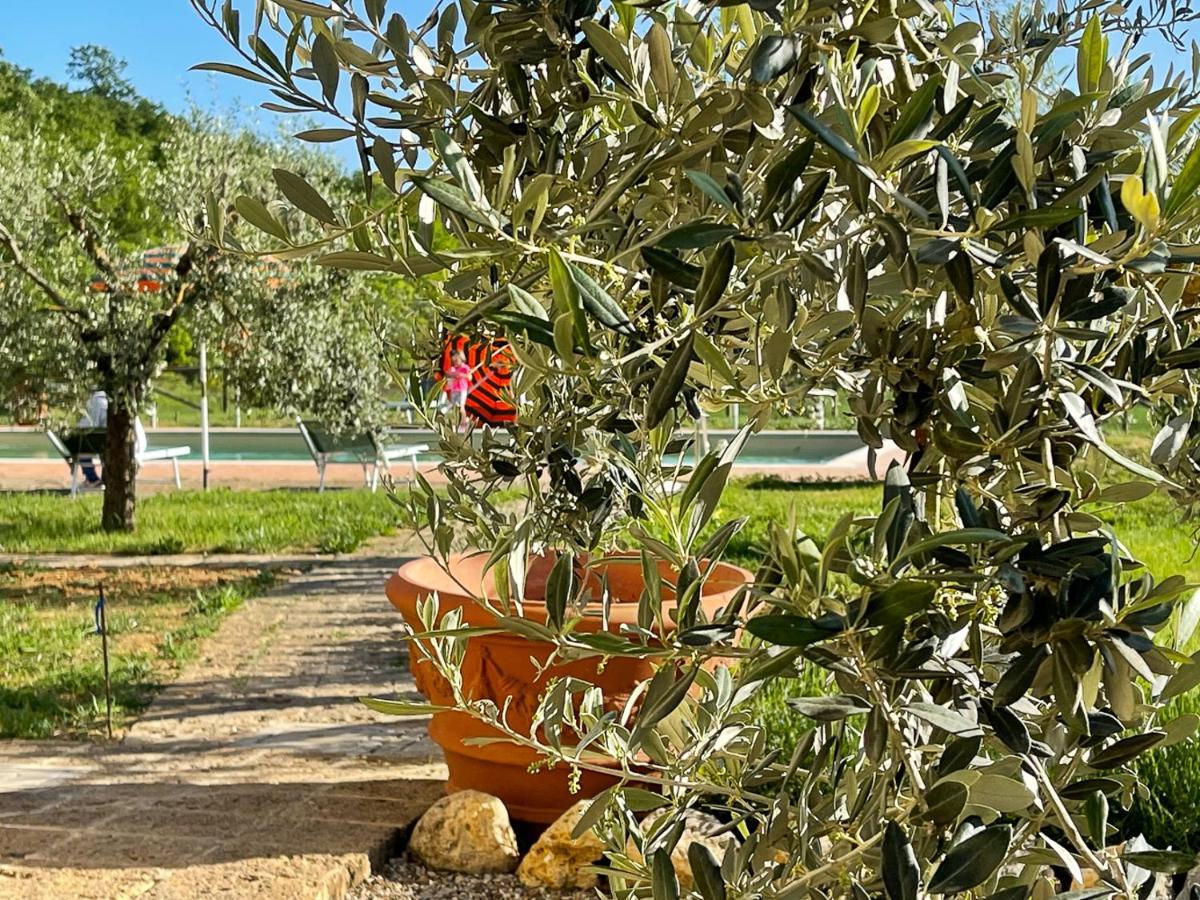 Exclusive Villa With Pool Borgo Pian Di Sala San Gimignano Eksteriør bilde